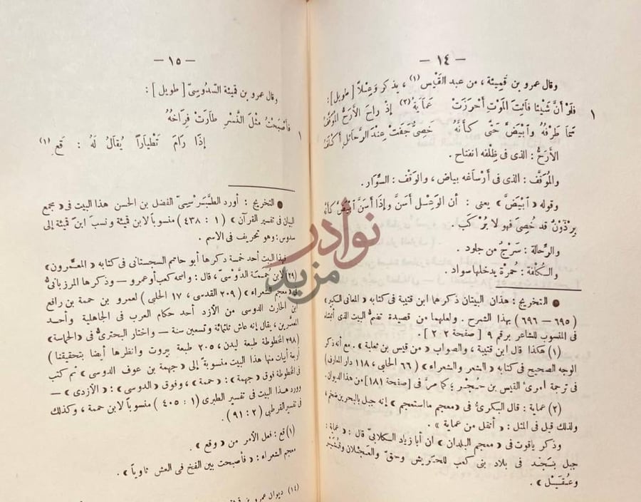 صفحة داخلية كتاب ديوان عمرو بن قميئة