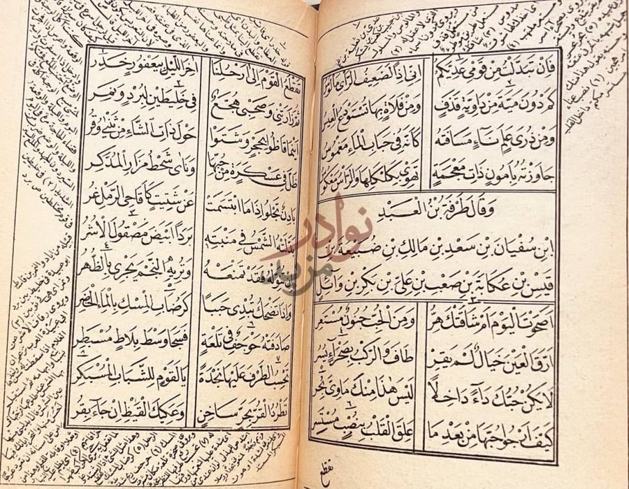 صفحة داخلية كتاب ديوان مختارات شعراء العرب