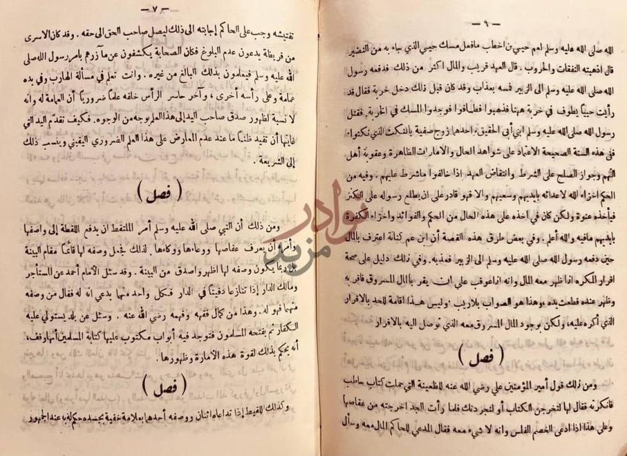 صفحة داخلية كتاب الطرق الحكمية في السياسة الشرعية فصل