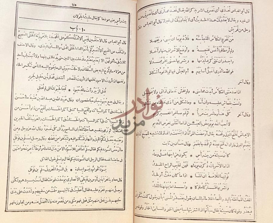 صفحة داخلية كتاب الكامل في اللغة والادب باب