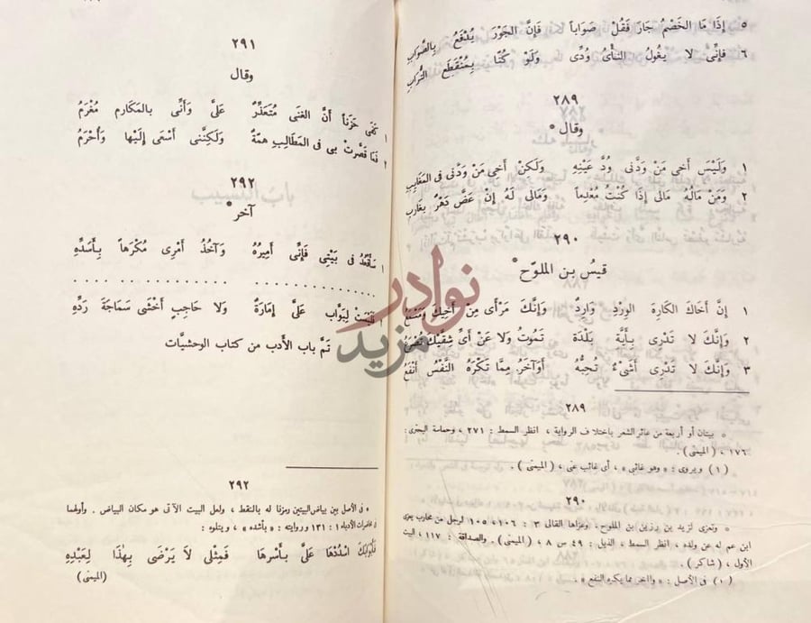 صفحة داخلية كتاب الوحشيات وهو الحماسة الكبرى باب الأدب آخر