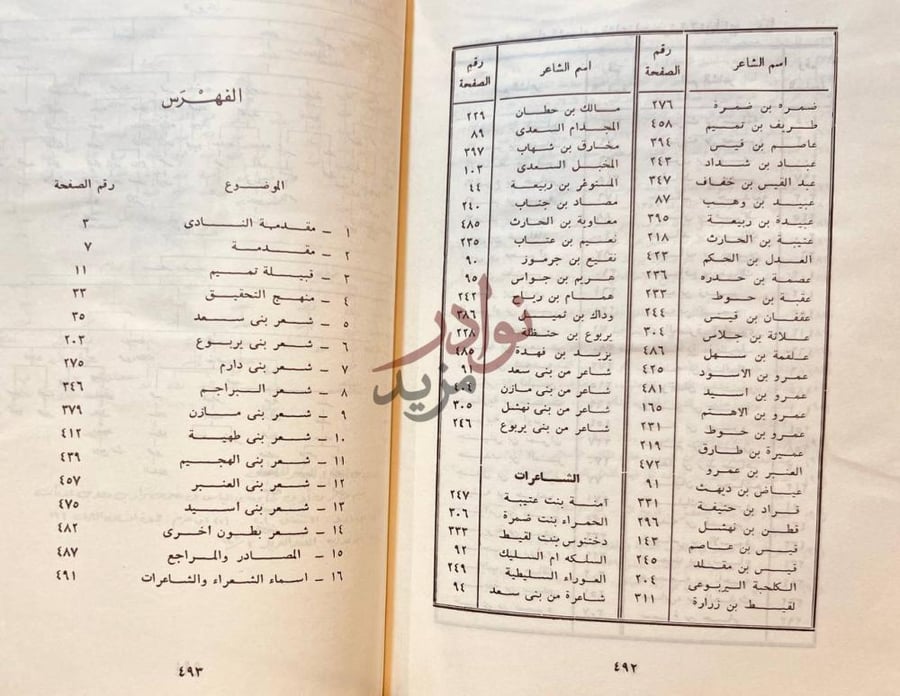 فهرس كتاب شعر بني تميم في العصر الجاهلي الفهرس