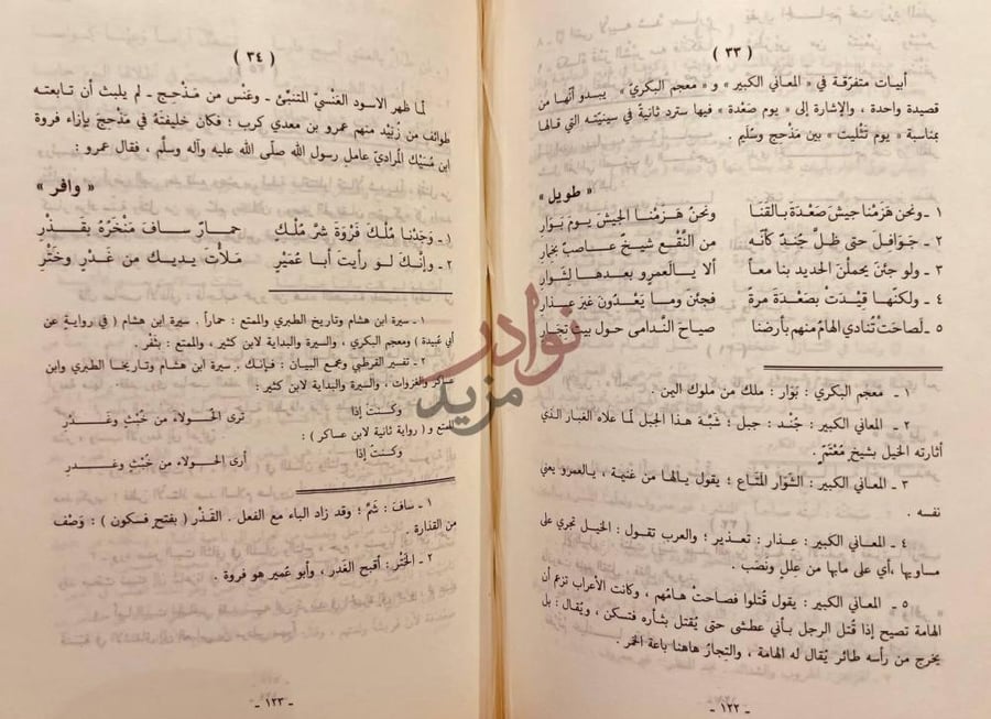 صفحة داخلية كتاب شعر عمرو بن معدي كرب الزبيدي