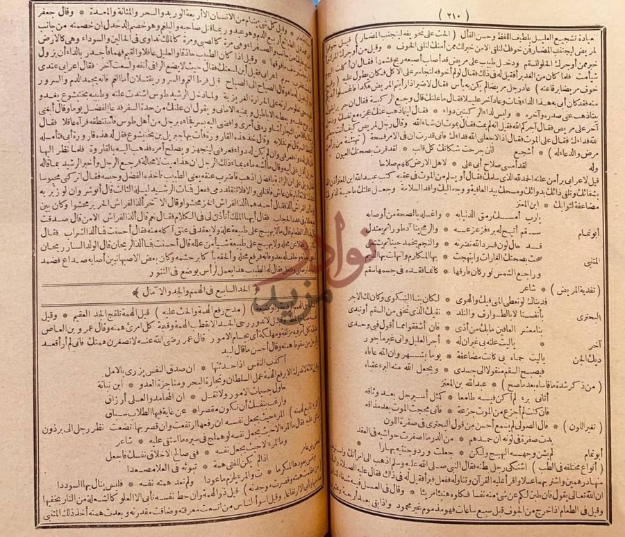صفحة داخلية كتاب محاضرات الادباء ومحاورات الشعراء والبلغاء