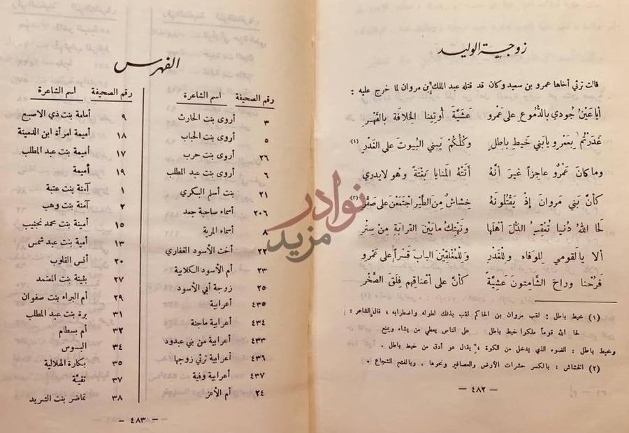 صفحة داخلية كتاب شاعرات العرب زوجة الوليد