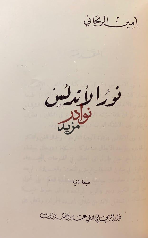 غابر الاندلس وحاضرها/نور الاندلس/رحلة الى بلاد المجد المفقود/رحلة الى الاندلس