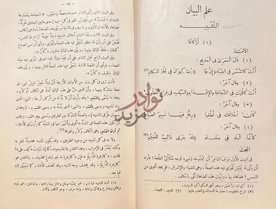صفحة داخلية كتاب البلاغة الواضحة البيان المعانى والبديع