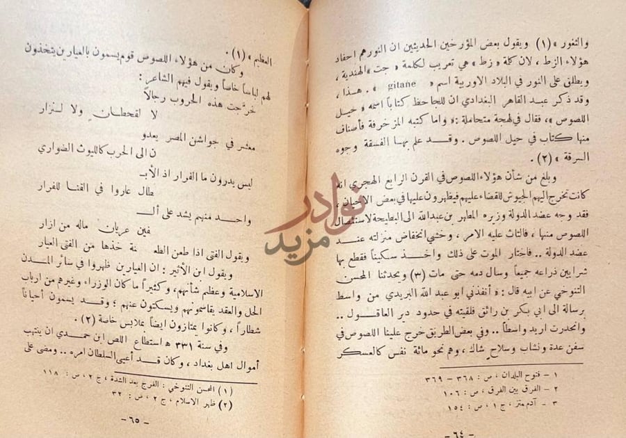 صفحة داخلية كتاب اهل الكدية ابطال المقامات في الادب العربي