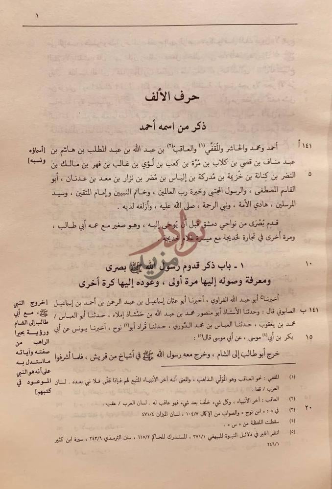 صفحة داخلية كتاب تاريخ دمشق حرف الألف ذكر