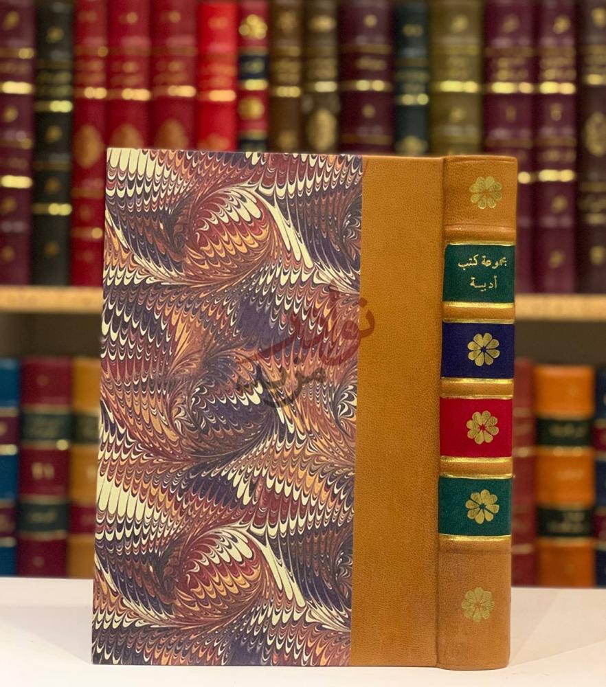 غلاف كتاب شرح شواهد شذور الذهب في معرفة كلام العرب