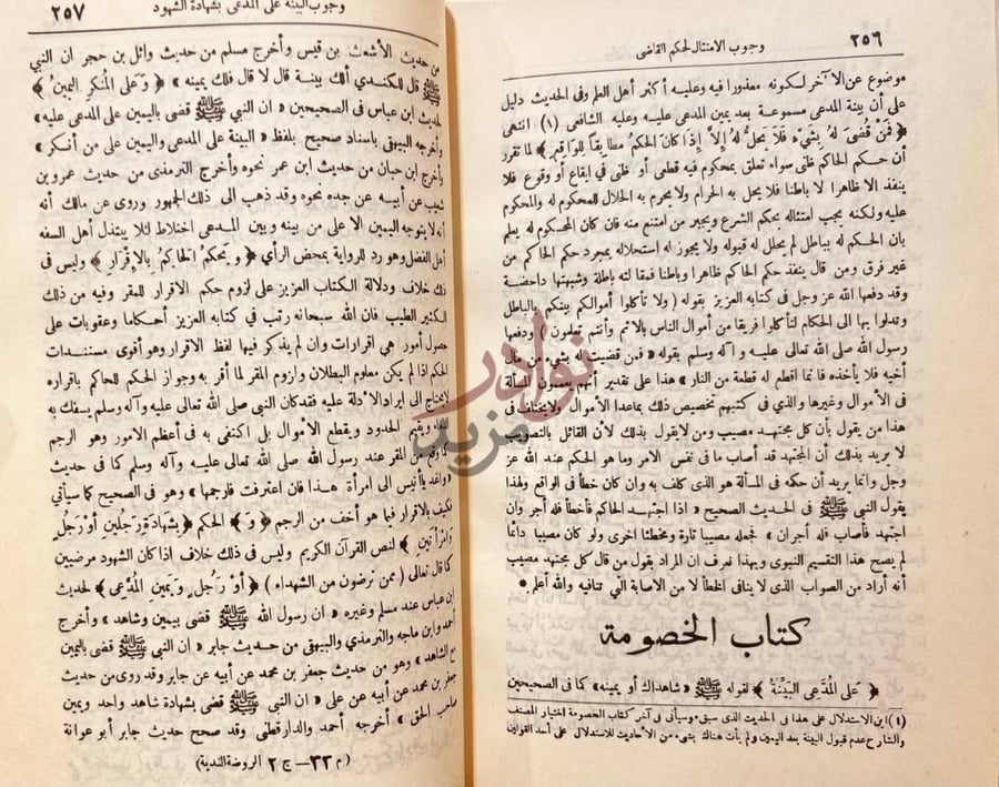 صفحة داخلية كتاب الروض الندية شرح الدرر البهية كتاب الخصومة