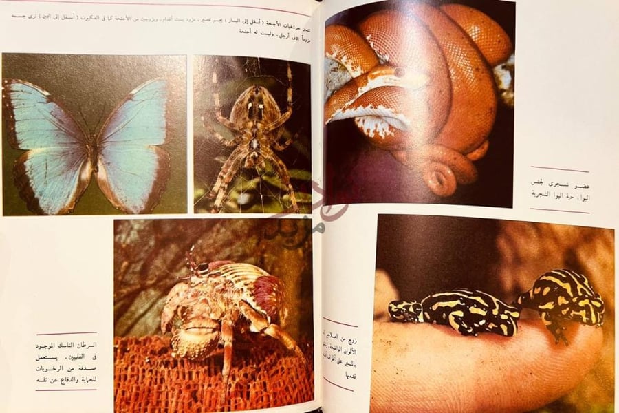 صفحة داخلية كتاب موسوعة الغد علم الحيوان عضو شرجي جنسي