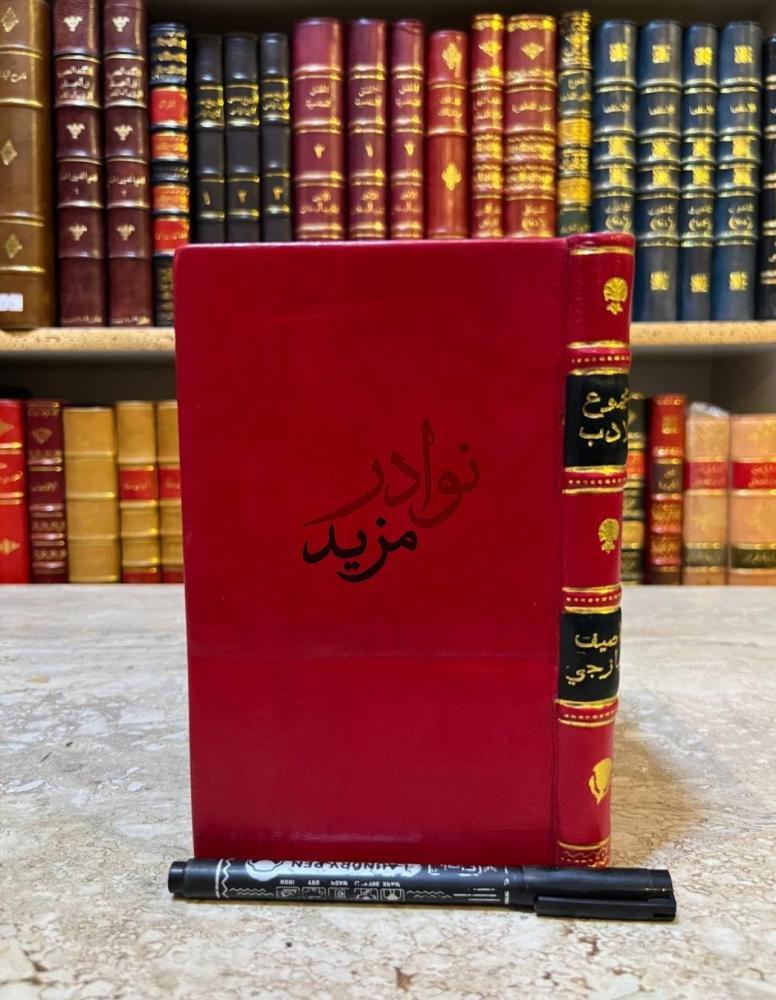 كتاب مجموع الادب في فنون العرب عقد الجمان في علم البيان ناصيف الياذجي