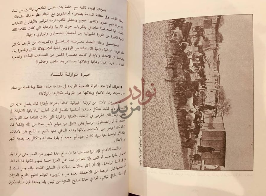 صفحة داخلية كتاب الإمارات في ذاكرة ابنائها الحياة الاقتصادية