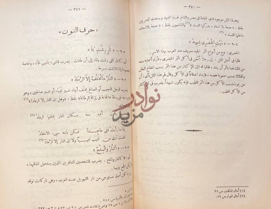 صفحة داخلية كتاب الامثال العامية في نجد حرف النون