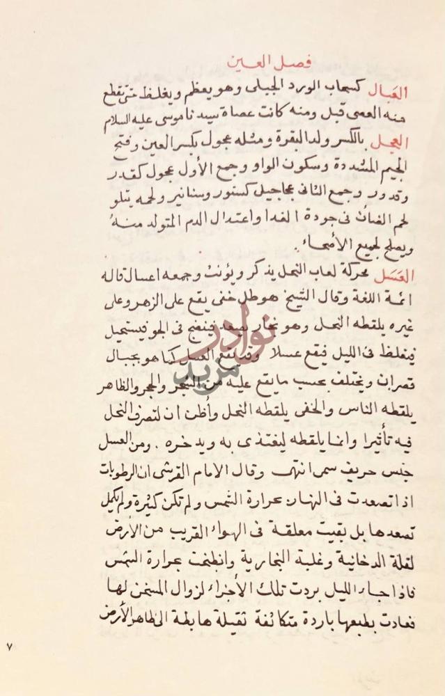 صفحة داخلية كتاب قاموس الاطبا وناموس الالبا فصل العين
