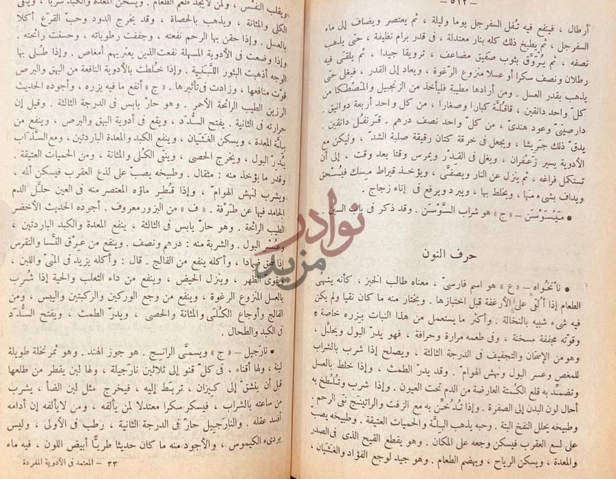 صفحة داخلية كتاب المعتمد في الادوية المفردة حرف النون