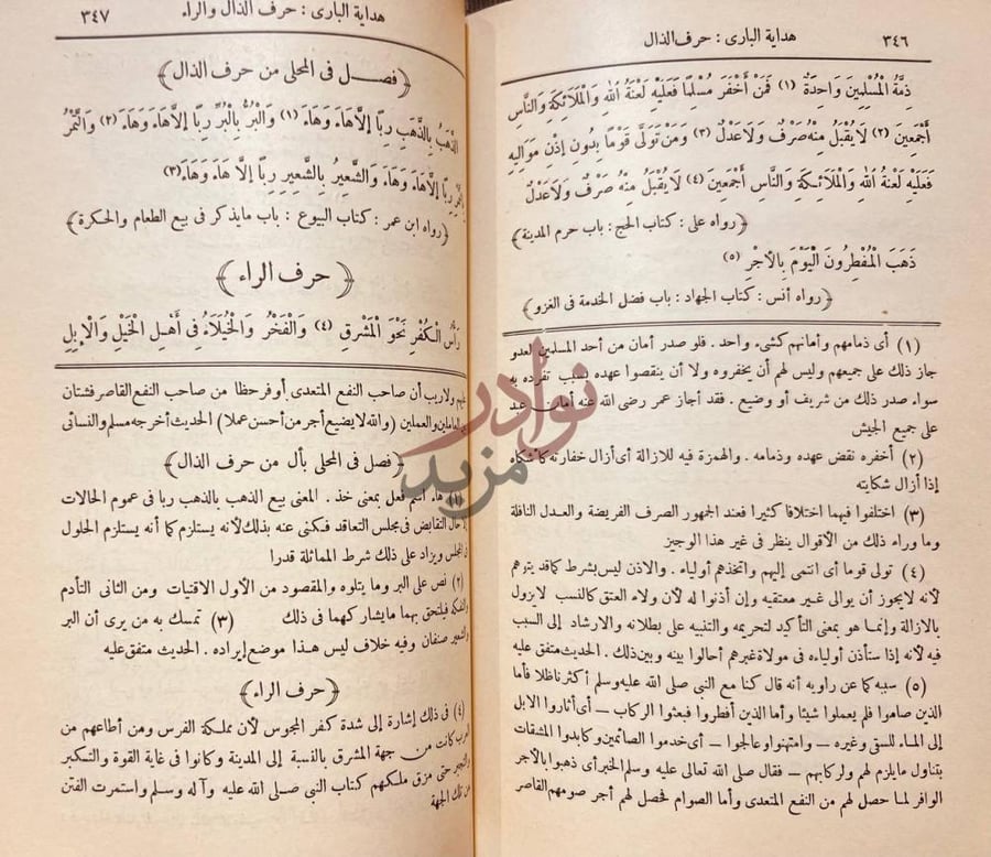 صفحة داخلية كتاب هداية الباري الى ترتيب احاديث البخاري