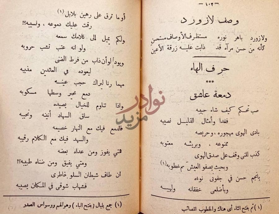 صفحة داخلية كتاب ديوان ابن سهل الاندلسي حرف الهاء