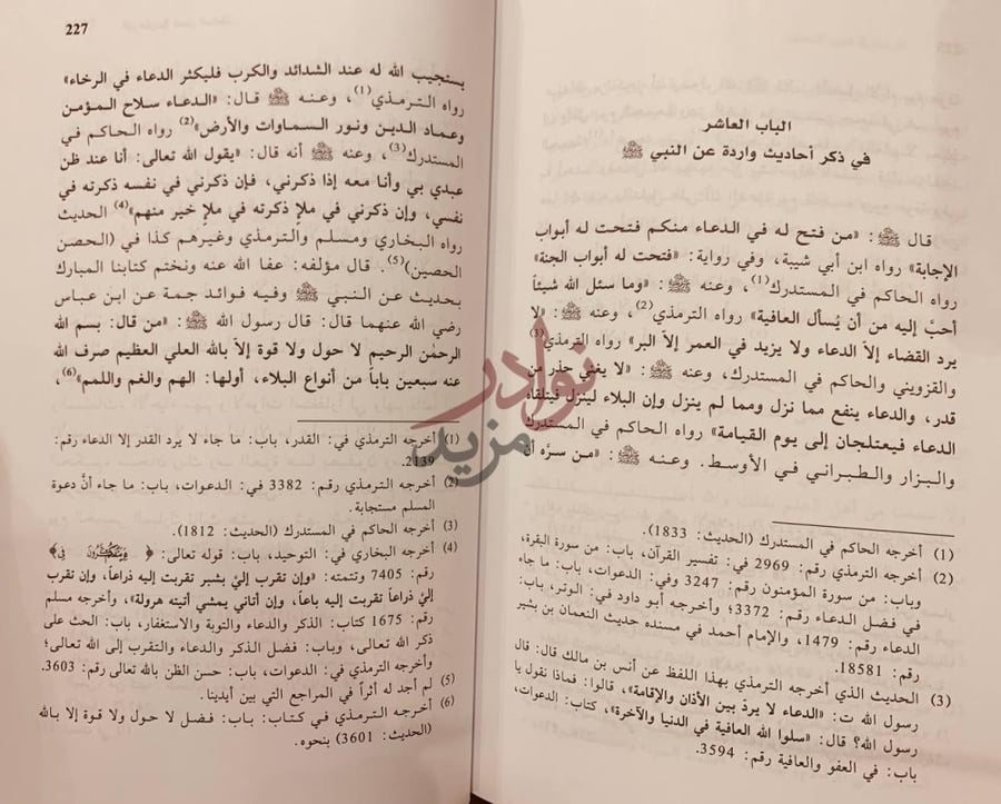 صفحة داخلية كتاب البرهان في فضل السلطان الباب العاشر في ذكر