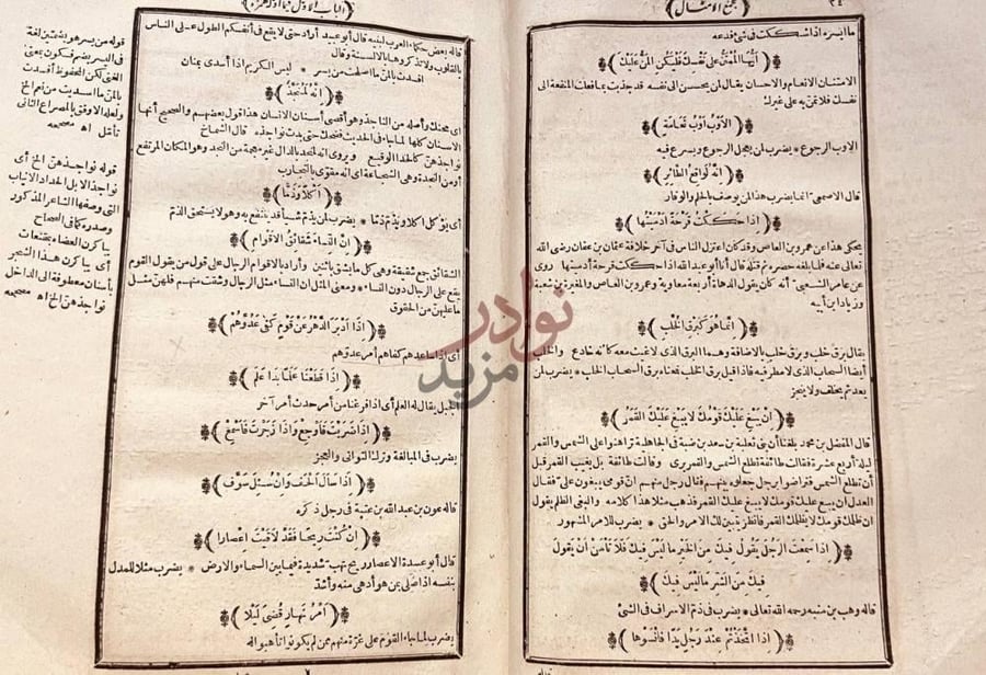 صفحة داخلية كتاب مجمع الامثال الباب الأول في ألف