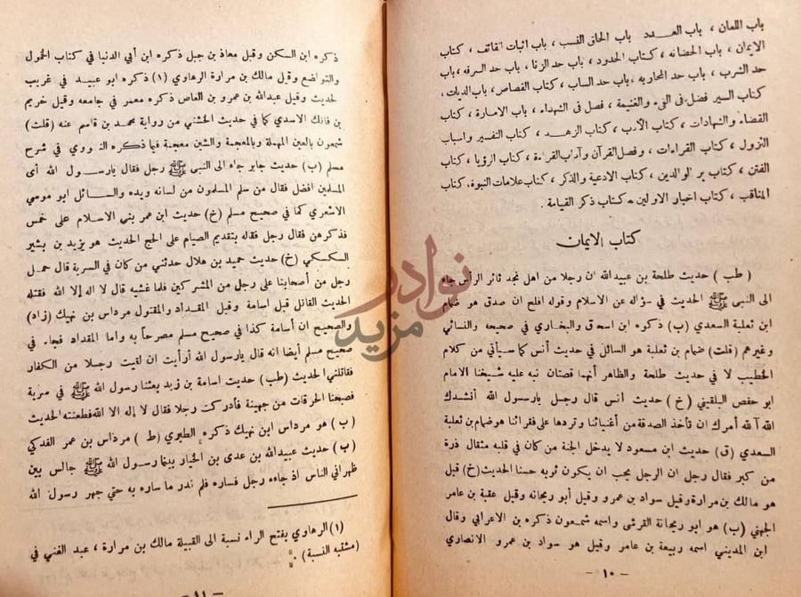 صفحة داخلية كتاب المستفاد من مبهمات المتن والاسناد
