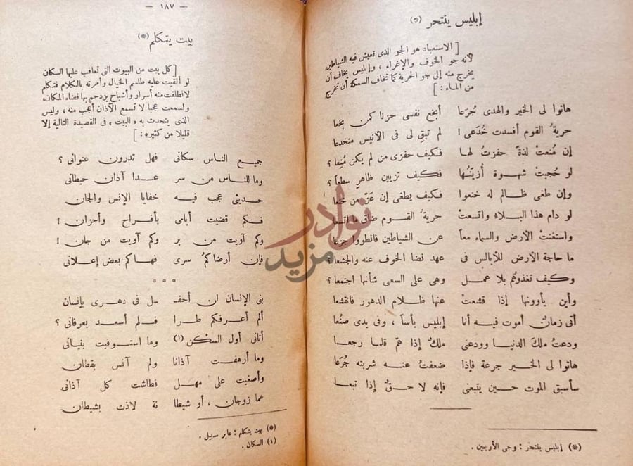 صفحة داخلية كتاب ديوان من دواوين إبليس ينتحر بيت