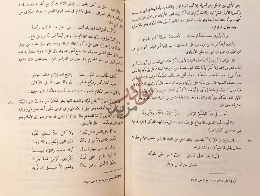 صفحة داخلية كتاب صحيح الاخبار عما في بلاد العرب من الاثار