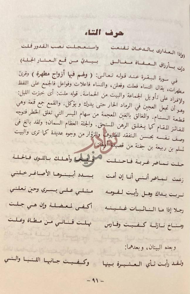 صفحة داخلية كتاب تنزيل الايات على الشواهد من الابيات