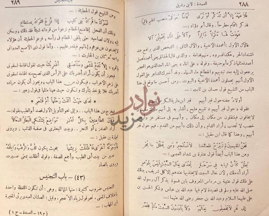صفحة داخلية كتاب العمدة باب التجنيس