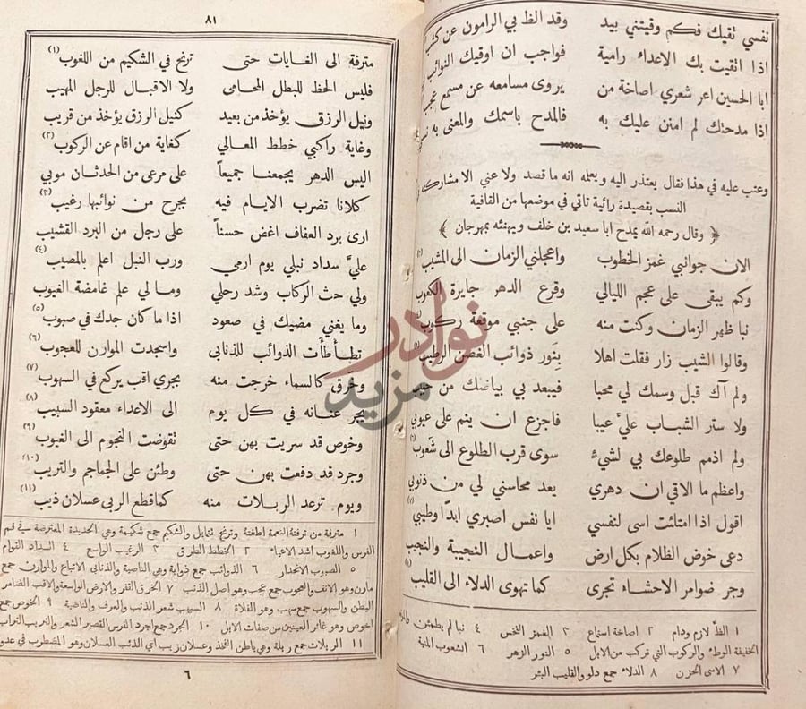 صفحة داخلية كتاب ديوان اشعر الهاشميين قصائد في مدح ورثاء
