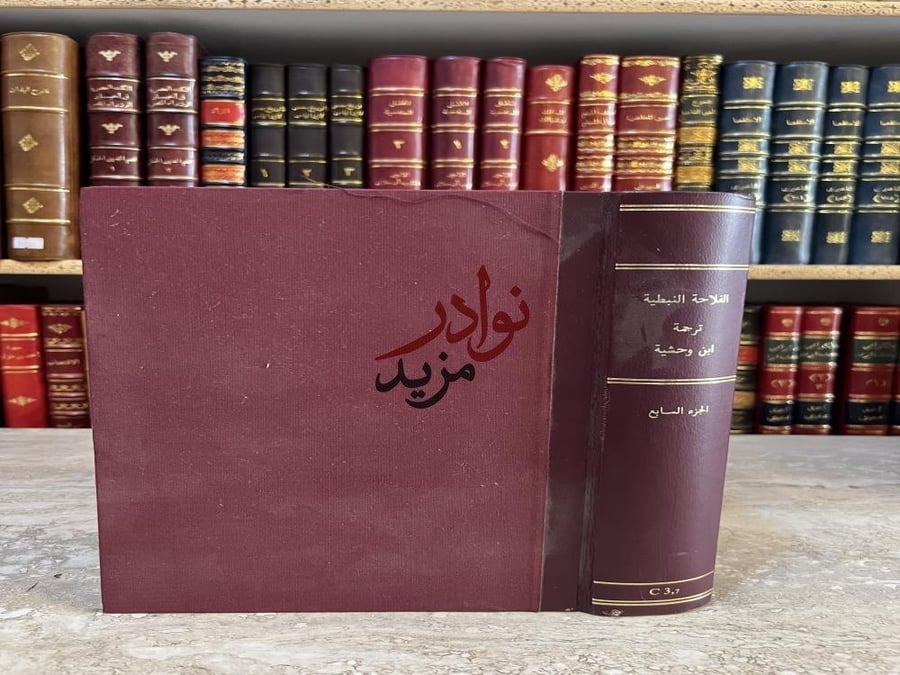 كتاب الفلاحة النبطية الجزء السابع ابن وحشية صورة مخطوط