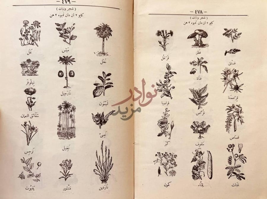 صفحة داخلية كتاب القاموس الذهبي قاموس كاماسن عربي ملايو لغة