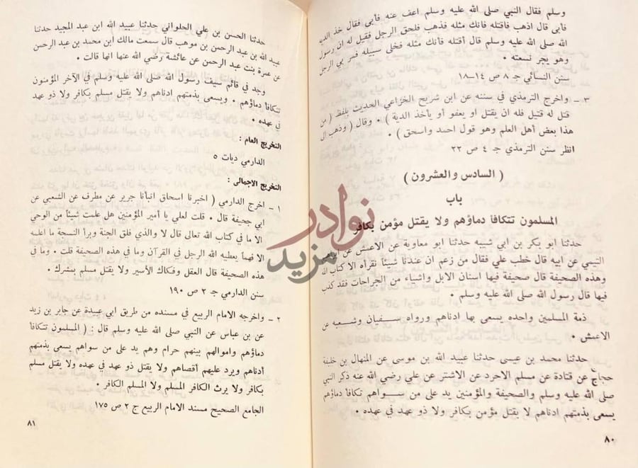 صفحة داخلية كتاب الومضات في تخريج احاديث كتاب الديات
