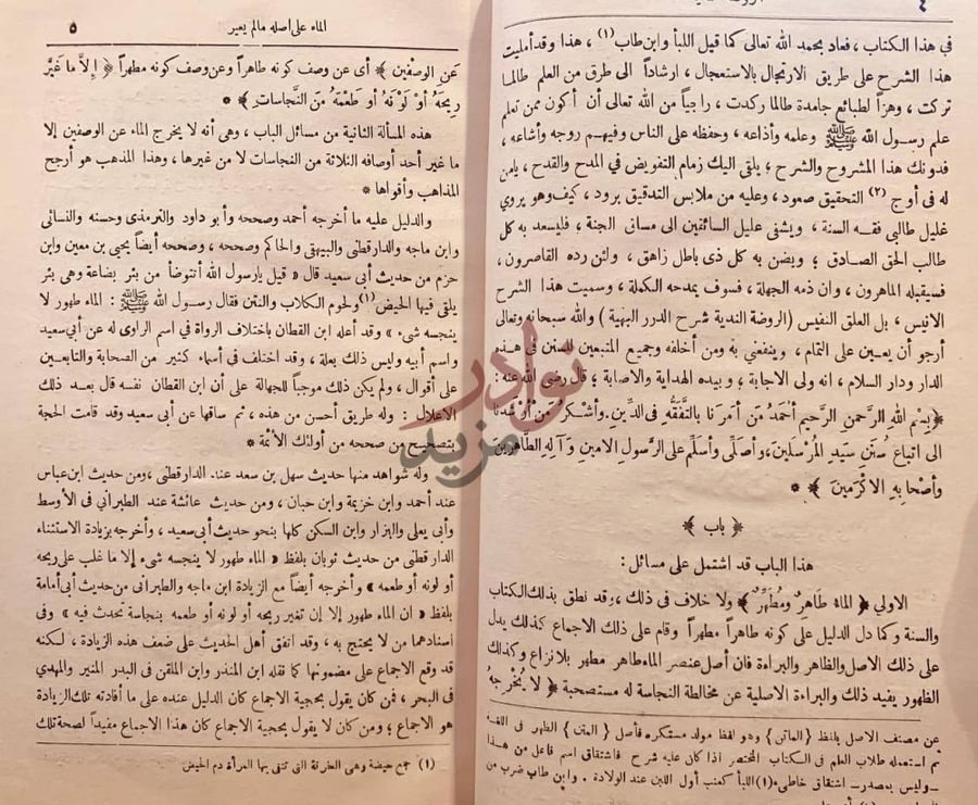 صفحة داخلية كتاب الروضة الندية شرح الدرر البهية باب