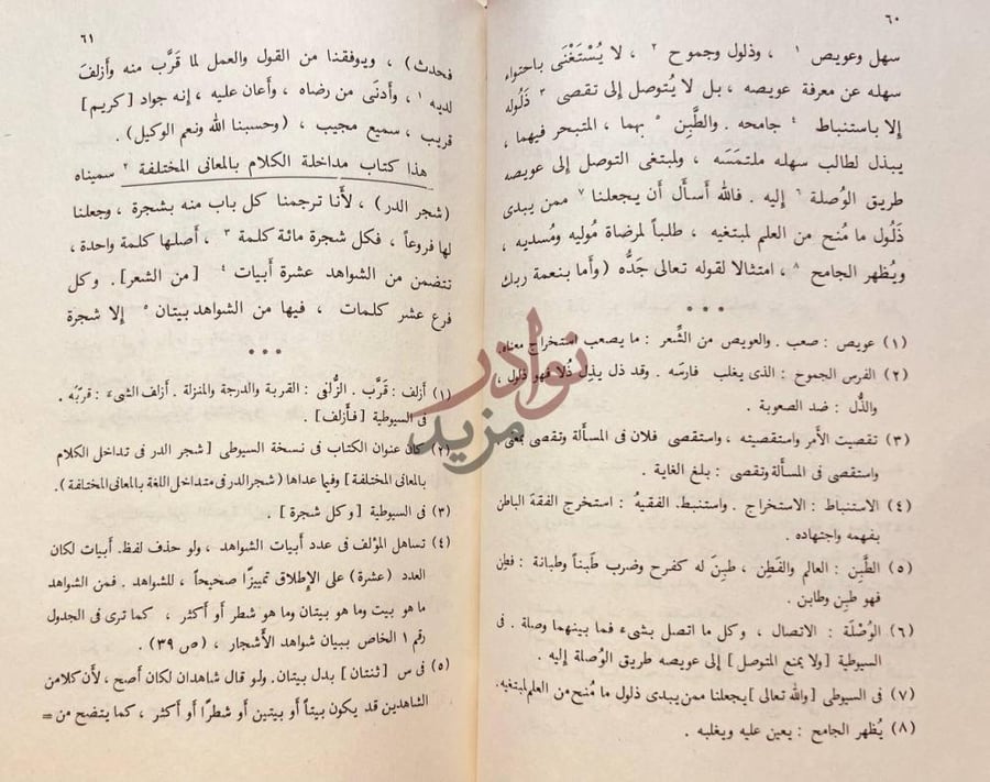 صفحة داخلية كتاب شجرة الدر في تداخل الكلام بالمعانى المختلفة