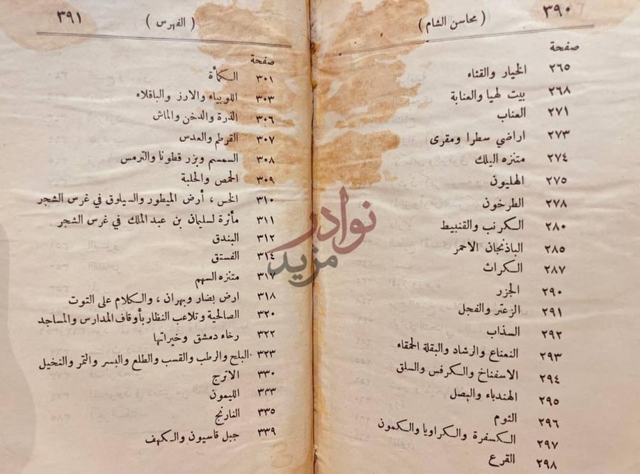 كشاف كتاب نزهة الانام في محاسن الشام الفهرس