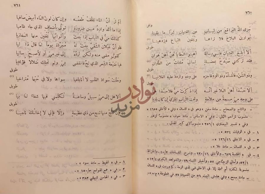 صفحة داخلية كتاب ديوان ذي الرمة
