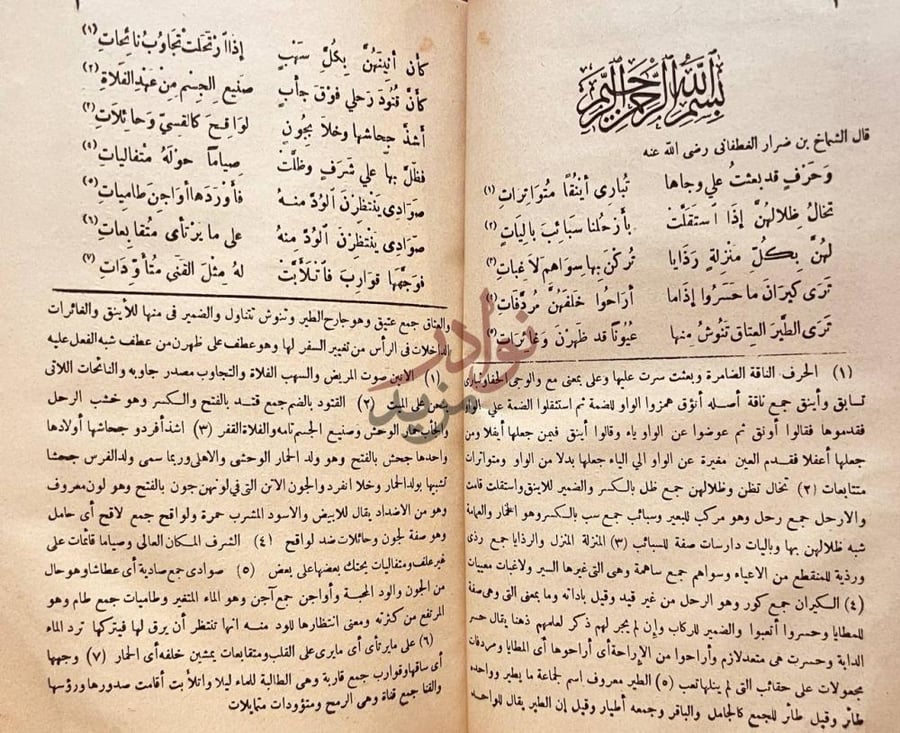 صفحة داخلية كتاب ديوان الشماخ بن ضرار الصحابي الغطفاني
