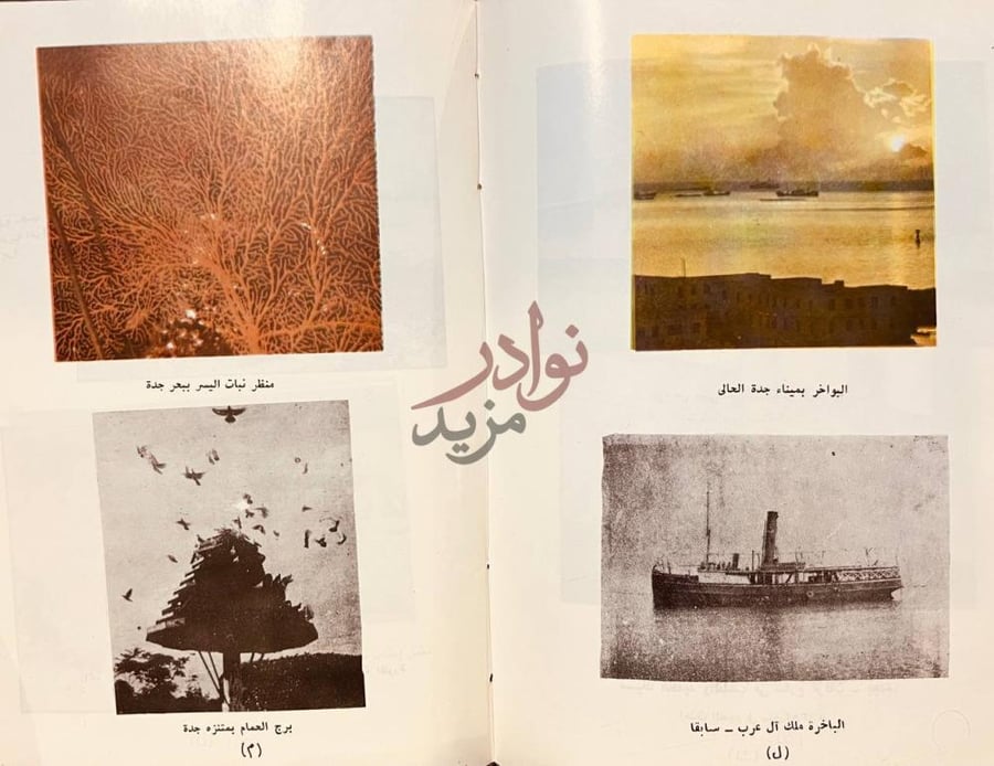 صفحة داخلية كتاب تاريخ مدينة جدة ألواح مصورة طبيعة