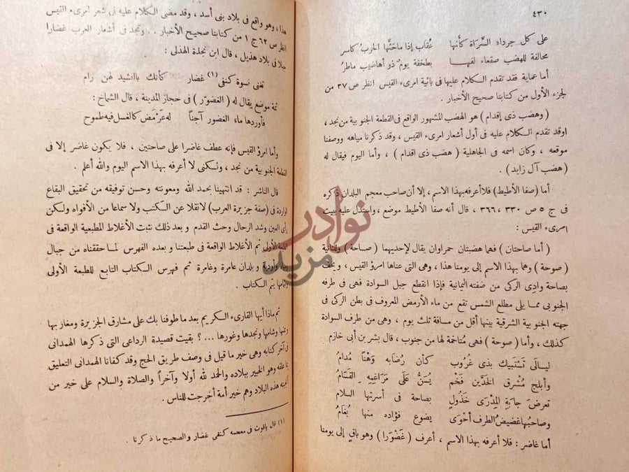صفحة داخلية كتاب صفة جزيرة العرب
