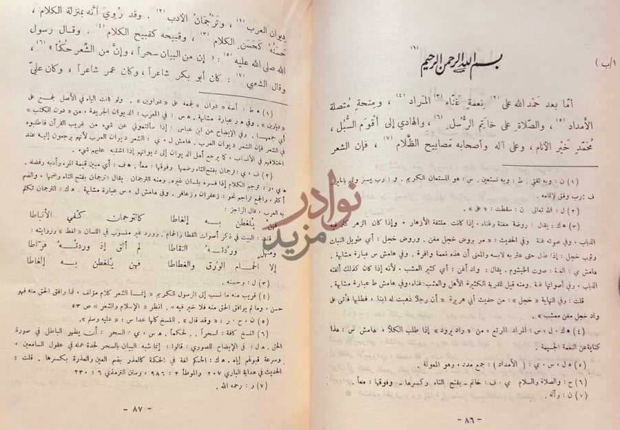 صفحة داخلية كتاب ديوان الابيوردي بسم الله الرحمن
