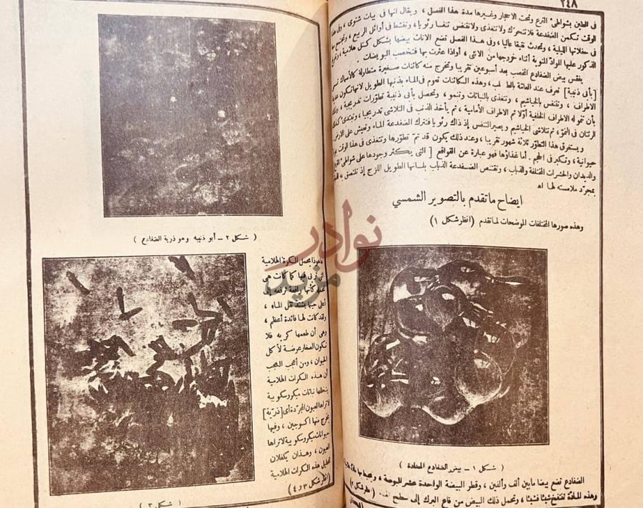 صفحة داخلية كتاب الجواهر في تفسير القران الكريم