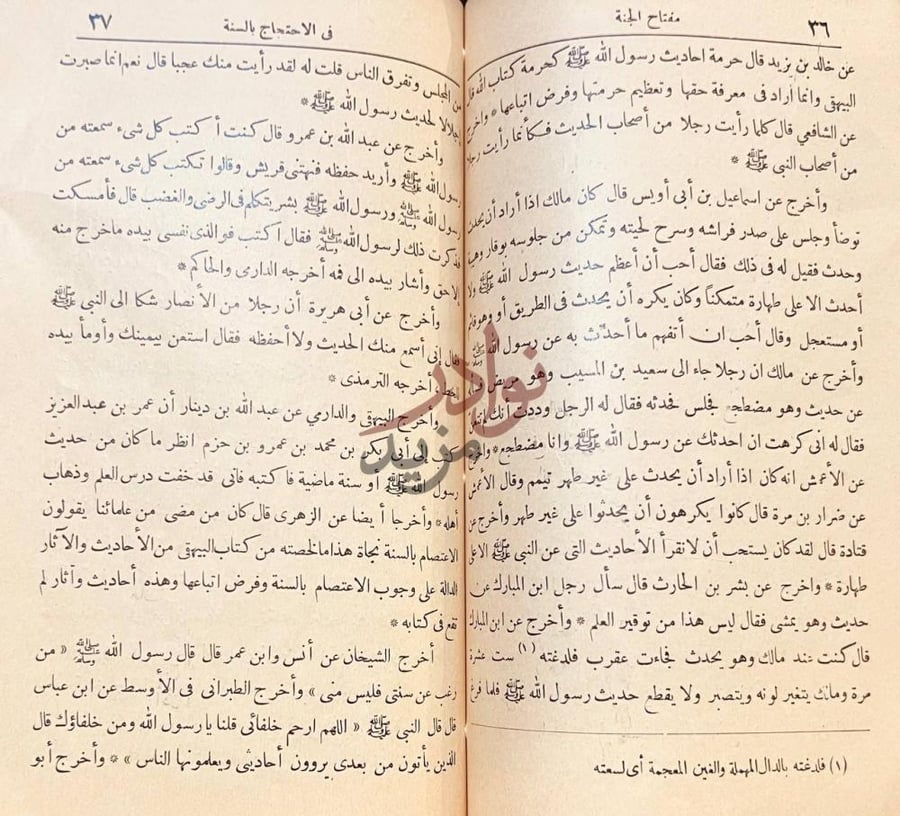 صفحة داخلية كتاب مفتاح الجنة في الاحتجاج بالسنة