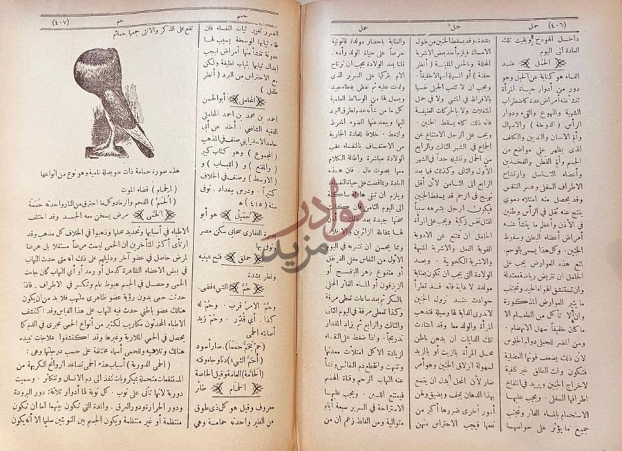 صفحة داخلية كتاب كنز العلوم واللغة حمل ح م ل حمى