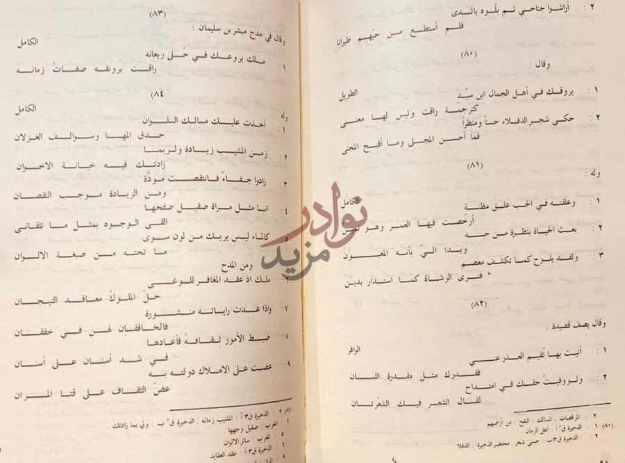 صفحة داخلية كتاب شعر ابن اللبانة الداني قصائد شعرية في مدح