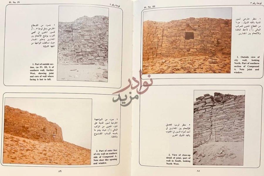 صفحة داخلية كتاب مقدمة عن اثار تيماء لوحة رقم لوحة رقم