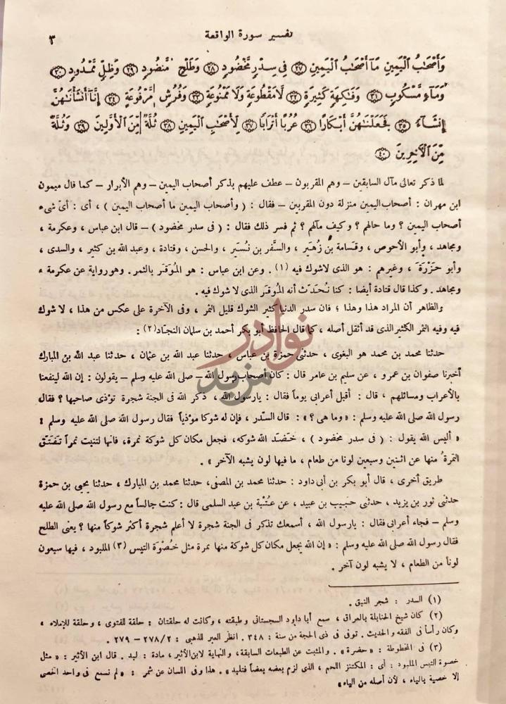 صفحة داخلية كتاب تفسير القران العظيم