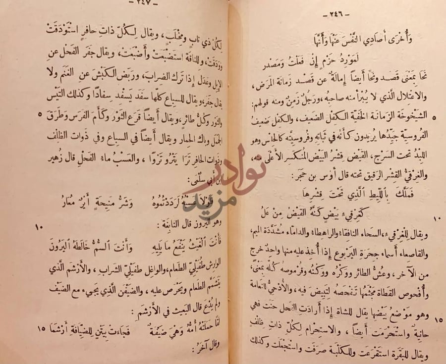 صفحة داخلية كتاب نظام الغريب استمرار شرح المفردات