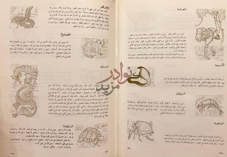 صفحة داخلية كتاب كليلة ودمنة